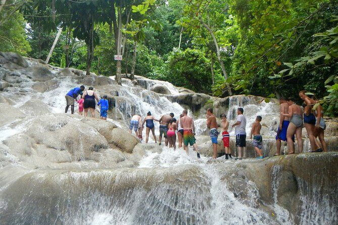 Private Dunn's River Falls Adventure from Montego Bay - Why Travelers Rave About This Tour