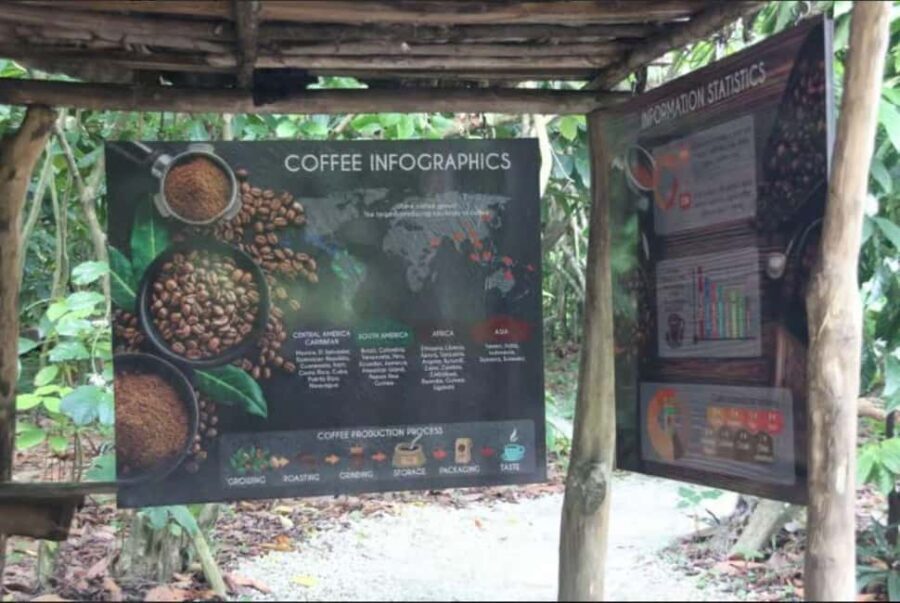 Private E-Bike Adventure Macao, El Salado, Ceiba & El Caño - FAQ