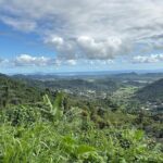 Private El Yunque Adventure  Hidden Waterfalls & El Toro Trail! - Who Will Benefit Most from This Tour?