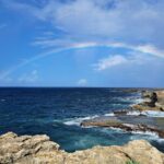 Private Exclusive Scenic Views Tour of Barbados' Landscapes - Who Should Book This Tour?