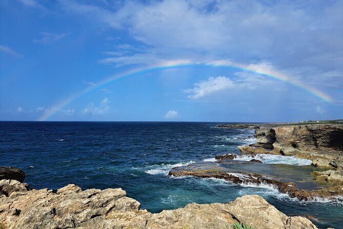 Private Exclusive Scenic Views Tour of Barbados' Landscapes - Who Should Book This Tour?