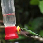 Private Excursion Middle of the World & Hummingbirds Alambi - Who Will Benefit Most from This Tour?