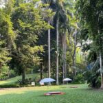 Private Experience in the Botanical Garden of Carthagena - Frequently Asked Questions