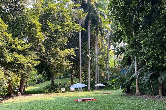 Private Experience in the Botanical Garden of Carthagena - Frequently Asked Questions