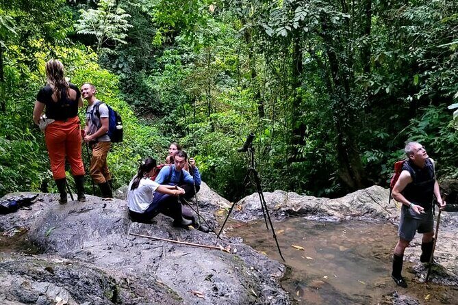 Private Experience Trillo de la Danta Bahia Drake Osa Corcovado - Making the Most of Your Day