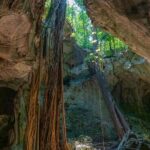 Private Exploring Tour in Green Grotto Caves and Rafting on the Martha Brae - An In-Depth Look at the Tour