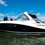 Private Express Cruise Tour in Punta Cana - Why We Recommend This Tour