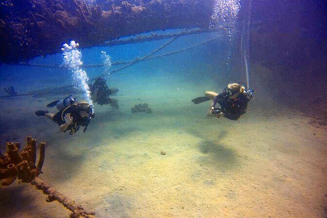 Private First-Time Dive on Arubas Reef and Wreck Site - The Value of a Private First Dive