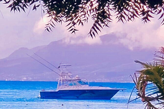 Private Fishing & Snorkel Charters in St Kitts and Nevis - A Deep Dive into Your Caribbean Beach Day