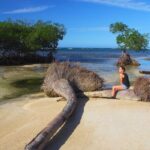 Private Full-Day at Los Haitises National Park - Who Should Consider This Tour?