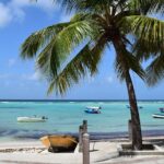 Private Full-Day Barbados Excursion - FAQ: Your Practical Questions Answered