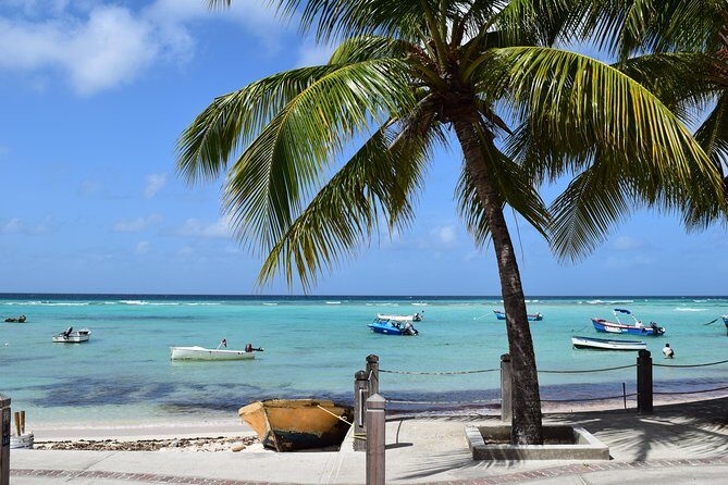 Private Full-Day Barbados Excursion - FAQ: Your Practical Questions Answered