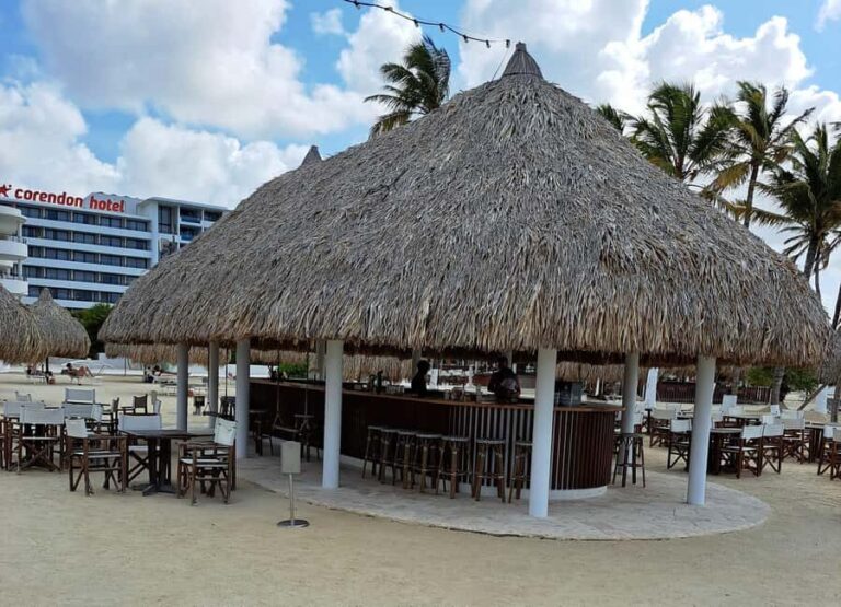 Private: Full-Day Catalina Reef & Beach Escape by Catamaran - What Travelers Say: Authentic Perspectives