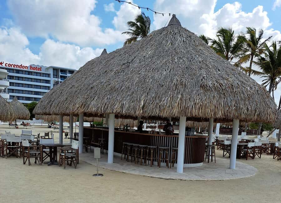 Private: Full-Day Catalina Reef & Beach Escape by Catamaran - What Travelers Say: Authentic Perspectives