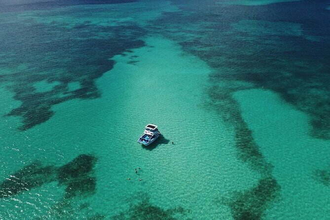 Private Full Day Charter to Saona Island from Punta Cana - What We Love About This Tour