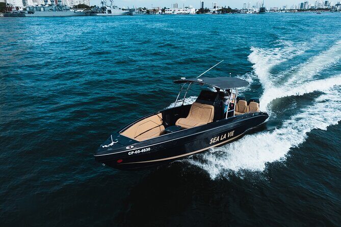 Private Full-Day Luxury Boat Rental Rosario Islands - A detailed look at what this tour offers