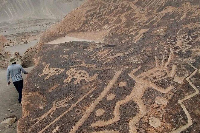 Private Full Day: Majes, Toro Muerto and Dinosaur Footprints. From Arequipa - Practicalities and What’s Included