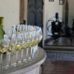 Private Full Day Rafting and Wine From Santiago - Who Should Consider This Experience?