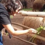 Private Full-Day Sacred Valley & Alpaca Farm Tour - Who Will Love This Tour?