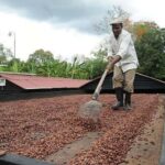 Private Full-Day Safari Adventure in Punta Cana with Pickup - Horseback Riding and River Walks