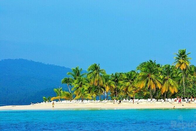 Private Full-Day Samaná Whale Watching Tour from Punta Cana - Final Thoughts: Who Should Consider This Tour?