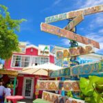 Private Full Day Tour in Nassau - What’s the Value?