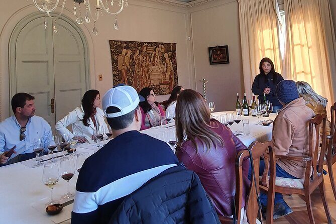 Private Full Day Tour of Viñas Tarapacá and Santa Ema Isla de Maipo - Final Thoughts