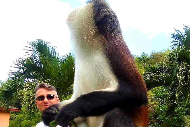 Private Fun Tour in Grenada - A Deep Dive into Grenada’s Highlights