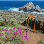 Private Garden Tour in Central Coast of Chile with Lunch included - Who Will Love This Tour?