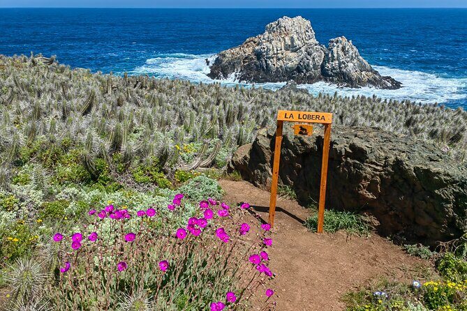Private Garden Tour in Central Coast of Chile with Lunch included - Who Will Love This Tour?