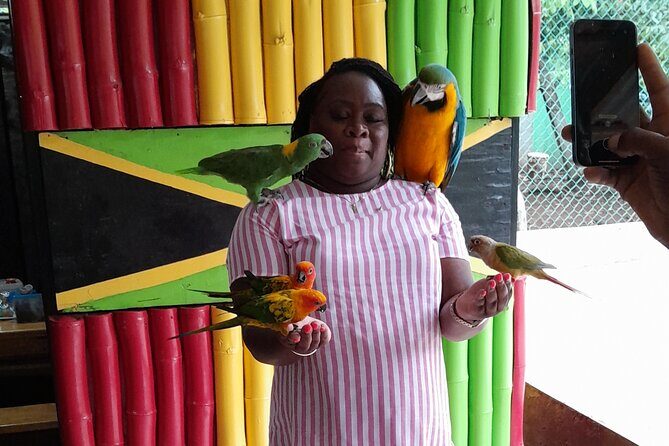 Private Gibbons Tour Outpost Experience - Exploring the Itinerary in Detail