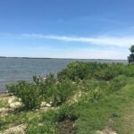 Private: Good Lagoon Exploration in Jaragua National Park - A Closer Look at the Experience