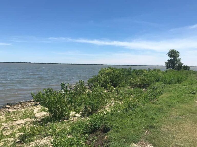 Private: Good Lagoon Exploration in Jaragua National Park - A Closer Look at the Experience