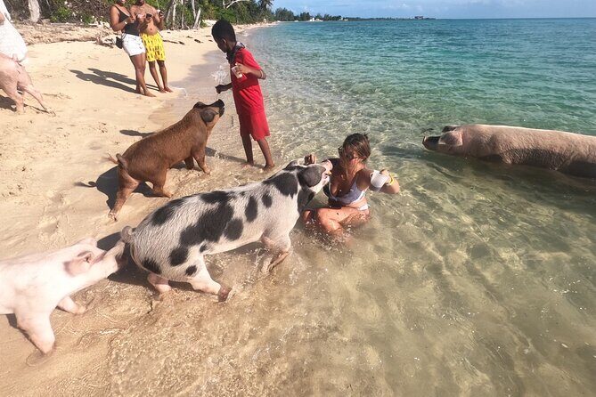 Private GroupTour Pigs/Turtles/Snorkeling/Lunch/Pickup/Dropoff - FAQs