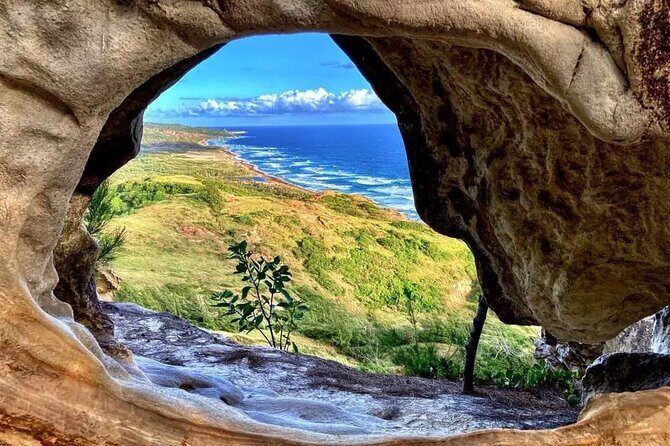 Private Guided Barbados Island Tour - Key Points