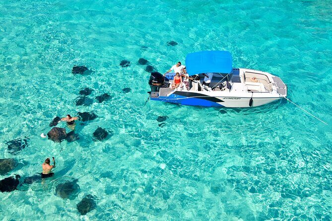 Private, Guided Boat Charters in The Cayman Islands - Who Is This Tour Best For?