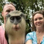 Private Guided Grenada Island Tour "BY THE HOUR" - The Sum Up: Is This Tour Right for You?