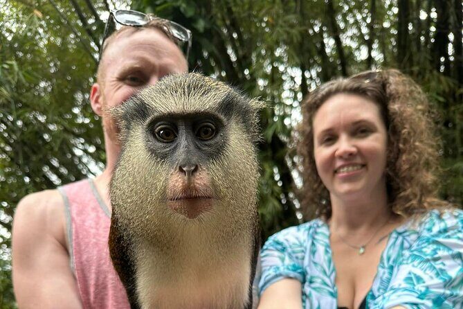 Private Guided Grenada Island Tour "BY THE HOUR"