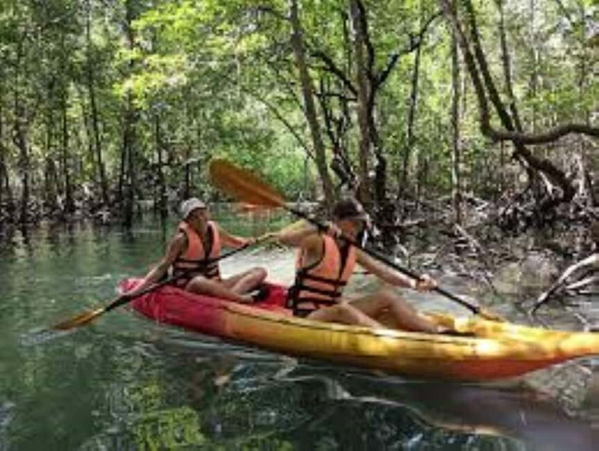Private: Guided Hike and Kayak Adventure from Boca Chica - The Experience in Detail: What to Expect on Your Los Haitises Tour