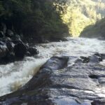 Private Guided Rafting on Magdalena River - Exploring the Magdalena River Rafting Tour in Depth