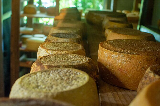 Private Guided Tour of Cheese in Canaan de Rivas - Why This Tour Is a Great Value