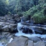 Private Guided Tours in Rio las Pailas - An In-Depth Look at the Rio las Pailas Private Tour