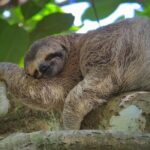 Private Guided Walking Tour in Hacienda Baru - Why Choose This Tour?