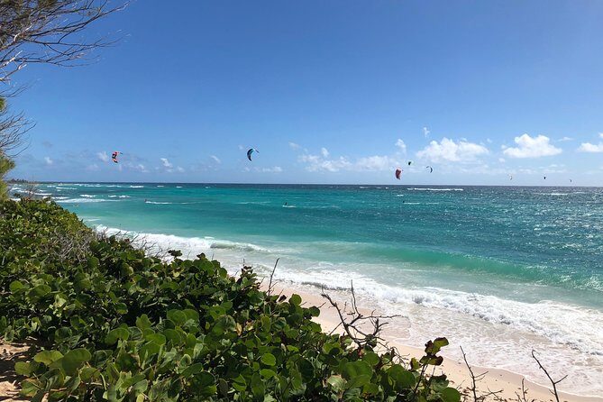 Private Half-Day Barbados Excursion - Frequently Asked Questions