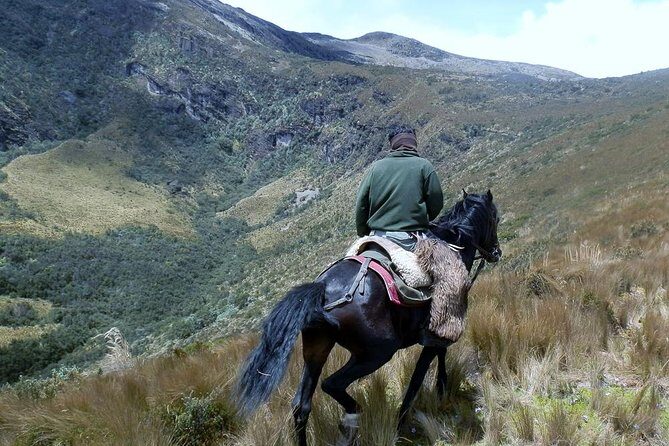 Private Half-Day Cable Car and Horseback Tour Above Quito - The Sum Up: Who Is This Tour For?