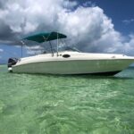 Private Half-Day Charter to Stingray City, Starfish Point and Snorkeling Tour - The Value and Pricing: Does It Measure Up?