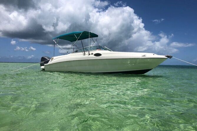 Private Half-Day Charter to Stingray City, Starfish Point and Snorkeling Tour