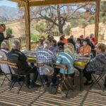 Private Half-Day Experience at Viña Villard - Who Would Love This Tour?