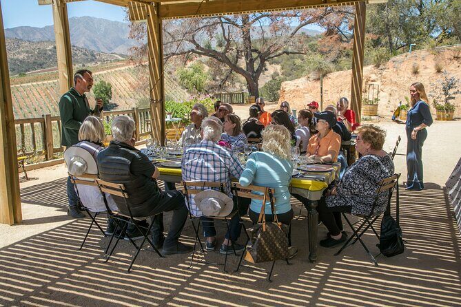 Private Half-Day Experience at Viña Villard - Who Would Love This Tour?