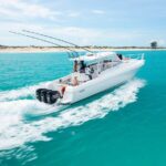 Private Half-Day Morning Bottom Fishing on Serendipity - The Return and Post-Trip Convenience